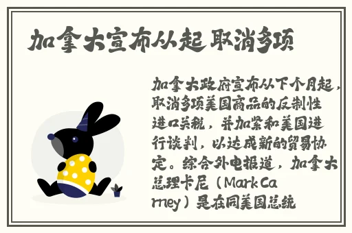 久久99精品久久久久久